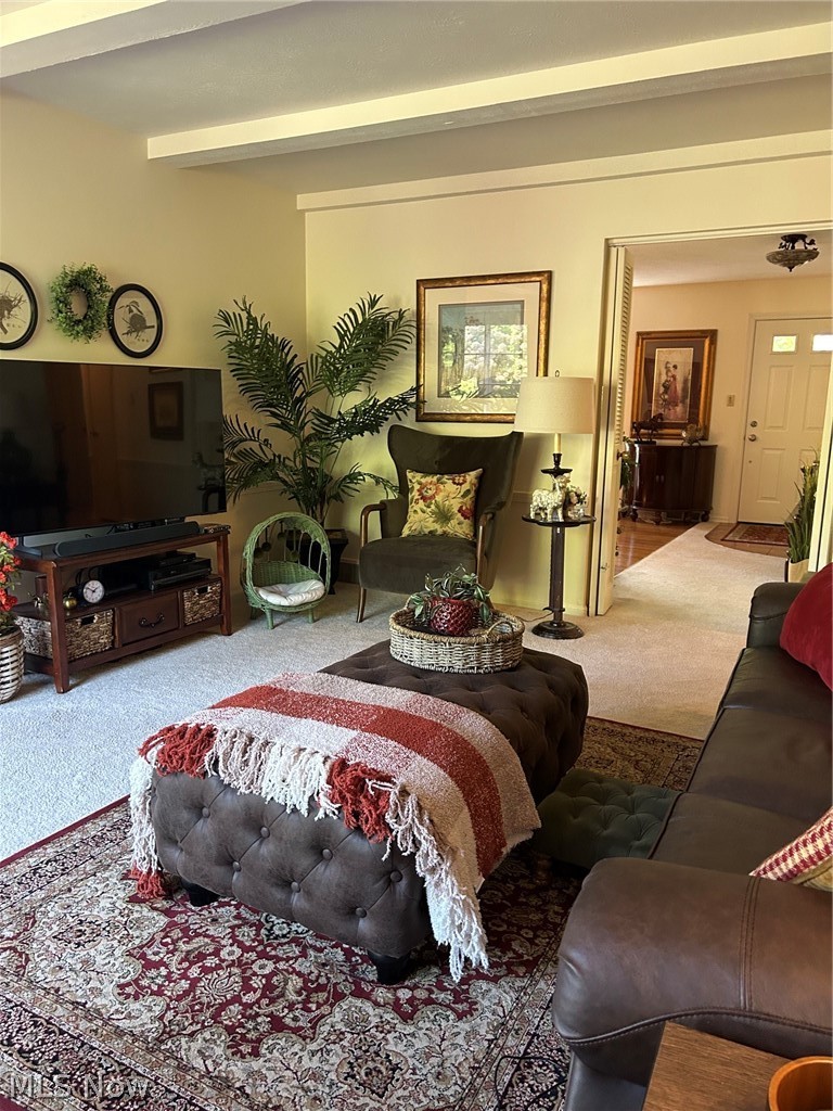 5171 Meadow Wood Boulevard Lyndhurst OH 44124