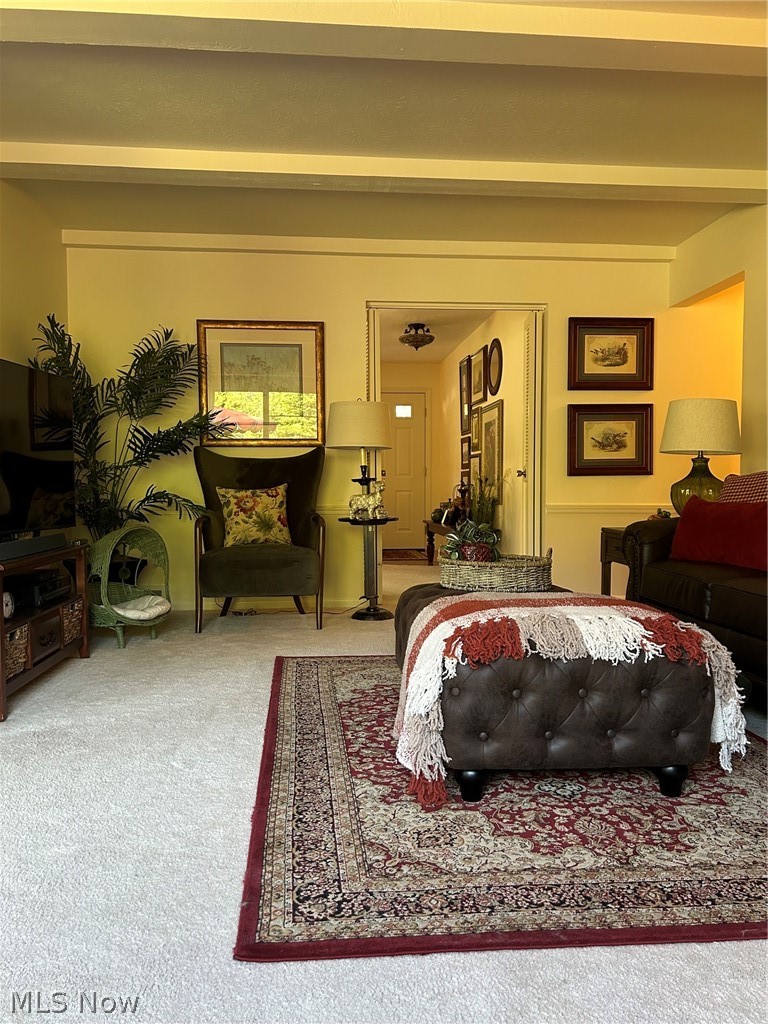 5171 Meadow Wood Boulevard Lyndhurst OH 44124