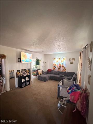 1217 Park Avenue SW Canton OH 44706