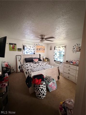 1217 Park Avenue SW Canton OH 44706