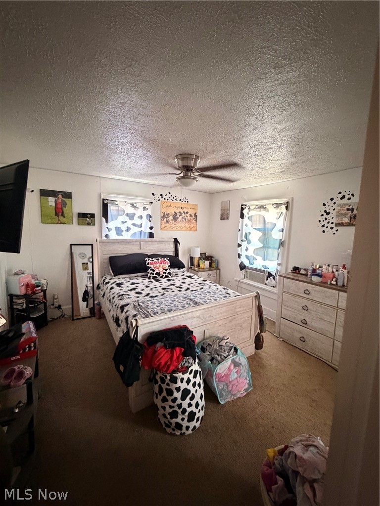 1217 Park Avenue SW Canton OH 44706