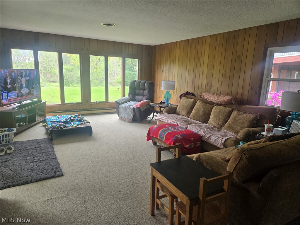 46457 Whitney Road Wellington OH 44090