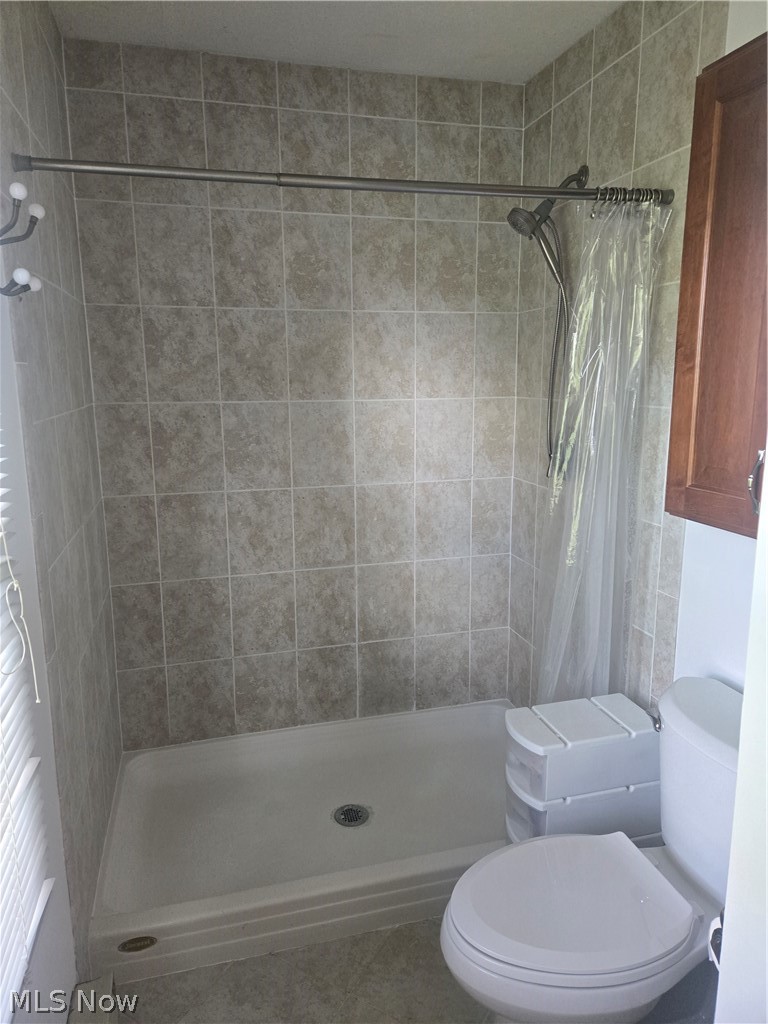 46457 Whitney Road Wellington OH 44090