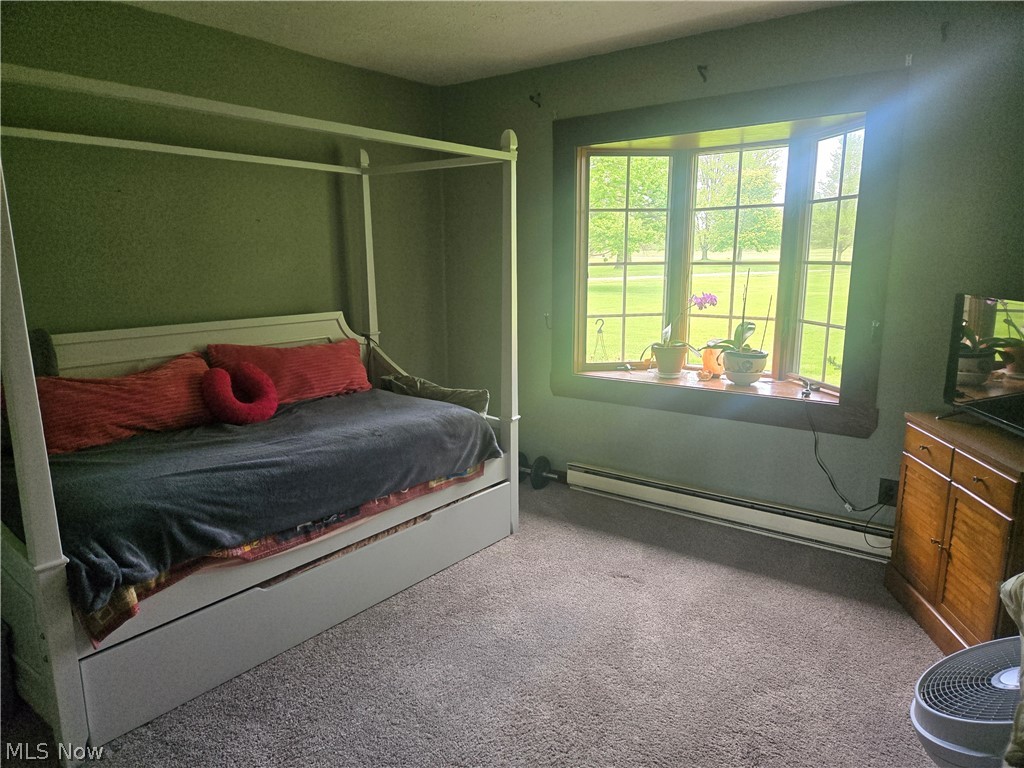 46457 Whitney Road Wellington OH 44090