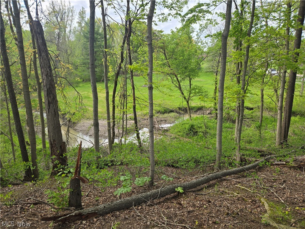 46457 Whitney Road Wellington OH 44090