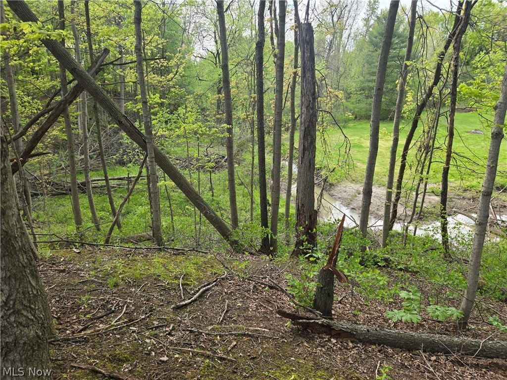 46457 Whitney Road Wellington OH 44090