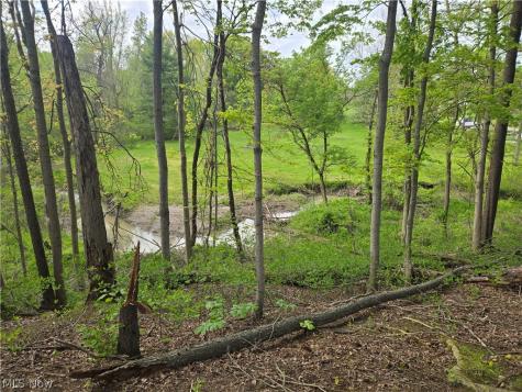46457 Whitney Road Wellington OH 44090