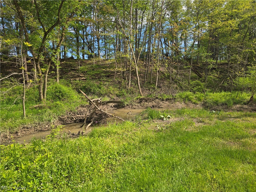 46457 Whitney Road Wellington OH 44090