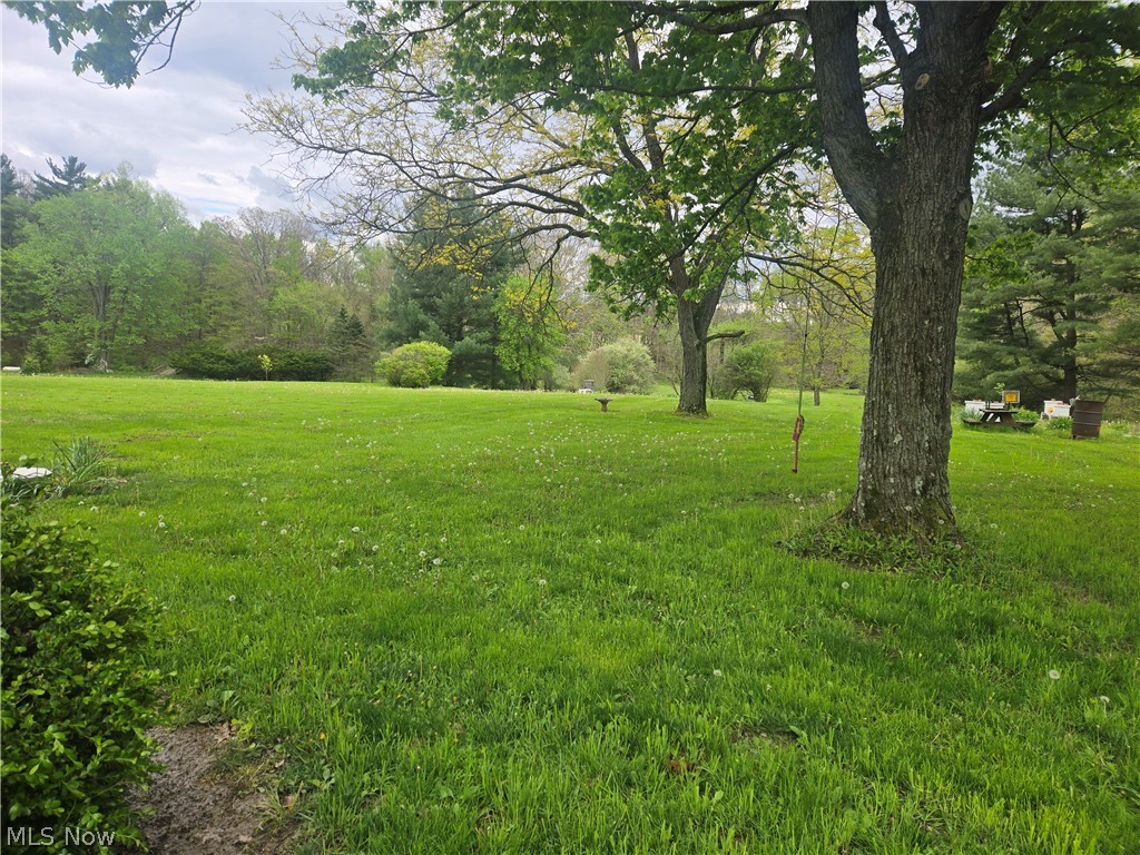 46457 Whitney Road Wellington OH 44090