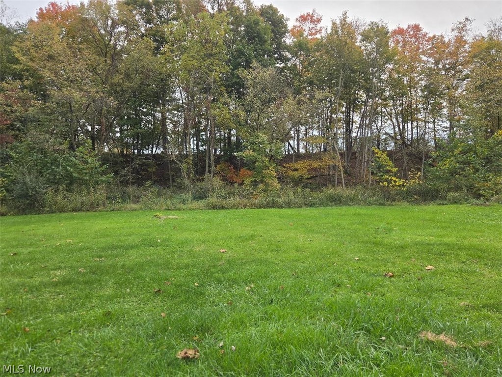 46457 Whitney Road Wellington OH 44090
