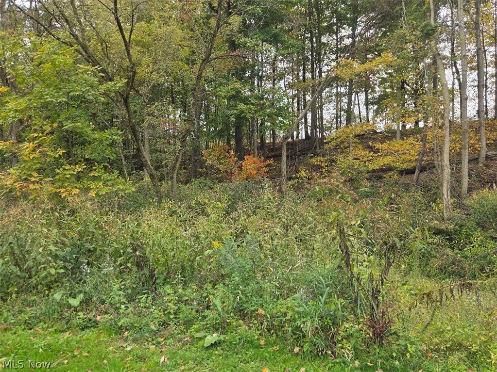 46457 Whitney Road Wellington OH 44090