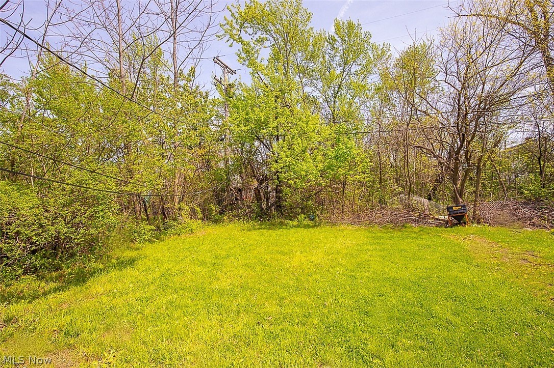 3589 E 118th Street Cleveland OH 44105