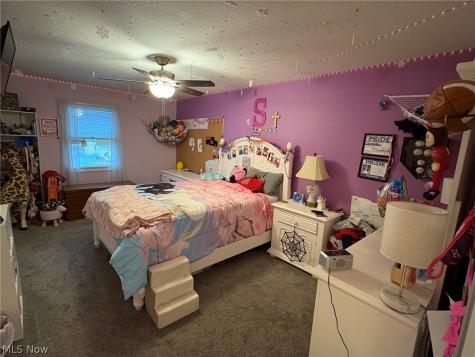 5170 White Pine Drive Brunswick Hills OH 44212