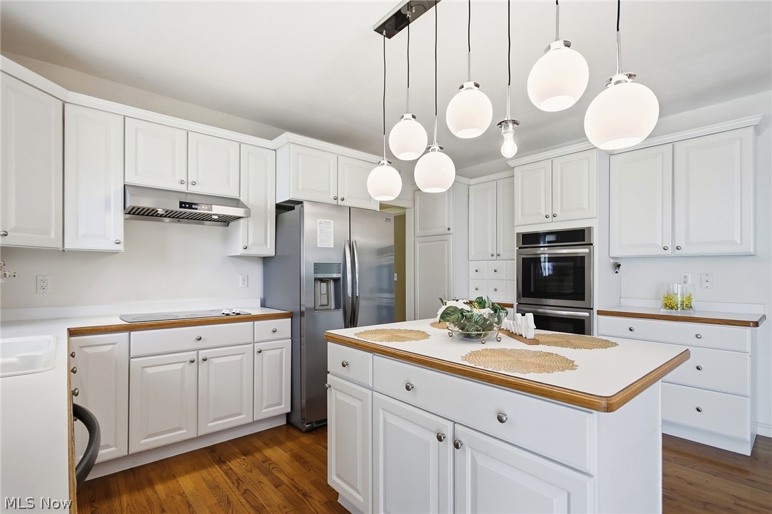28685 Blue Pond Trail Solon OH 44139