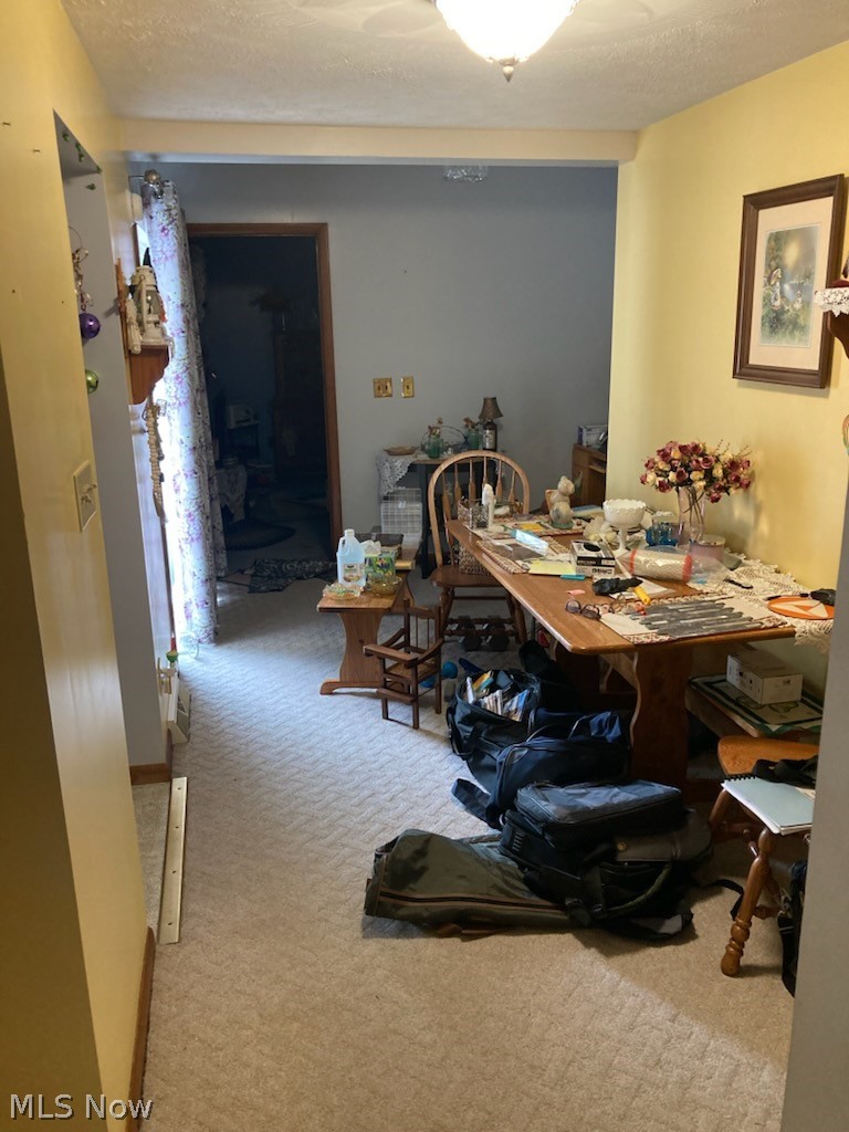 209 Grandview Street Scio OH 43988