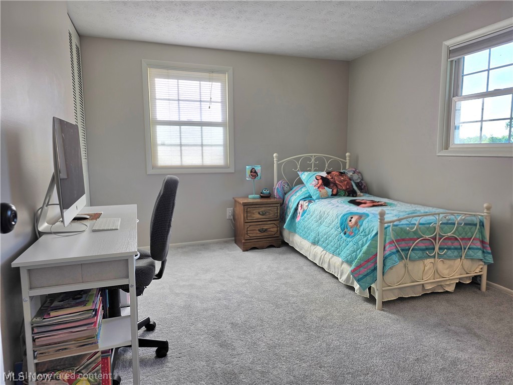 10095 Regatta Trail Reminderville OH 44202