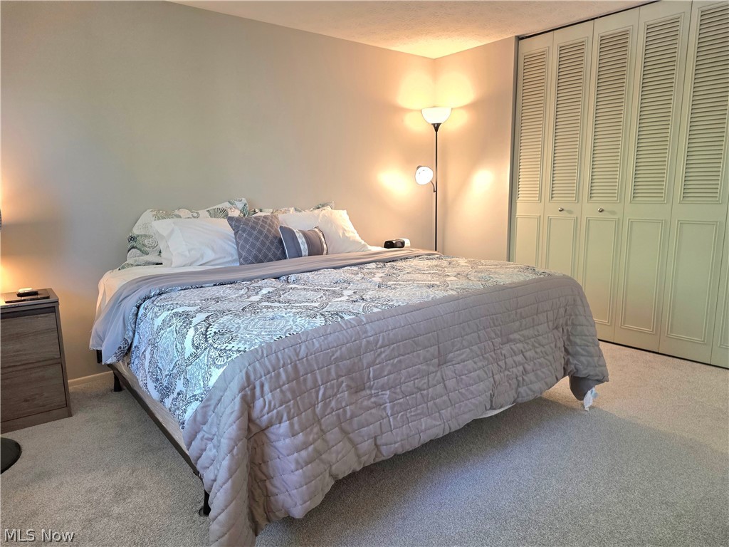 10095 Regatta Trail Reminderville OH 44202