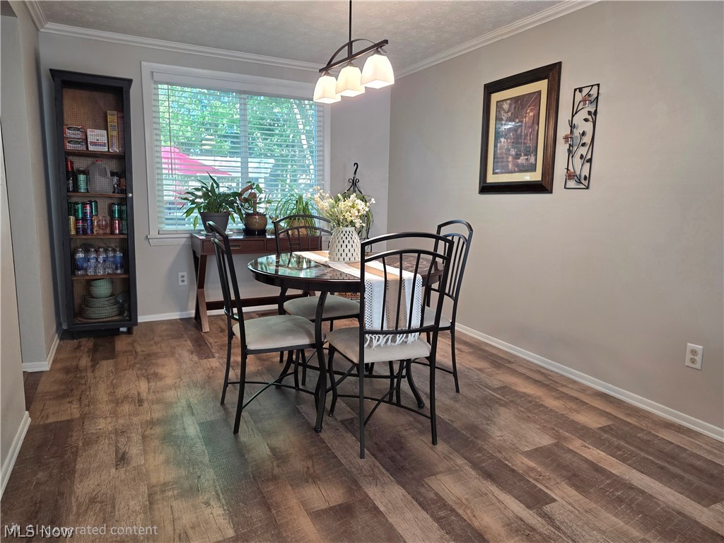 10095 Regatta Trail Reminderville OH 44202
