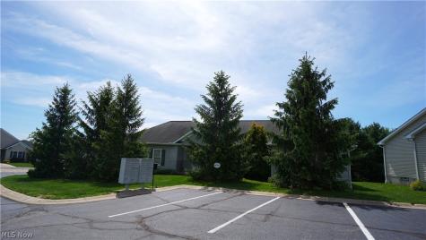 1166 Cobblestone Drive Tallmadge OH 44278