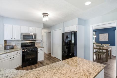 5791 Nicholson Drive Hudson OH 44236