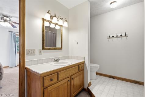 5791 Nicholson Drive Hudson OH 44236