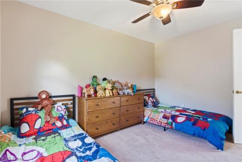 5791 Nicholson Drive Hudson OH 44236