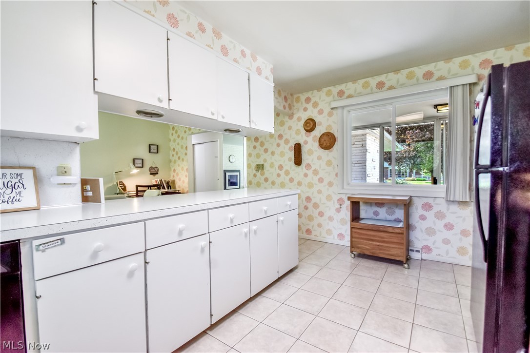 956 Mill Street Conneaut OH 44030