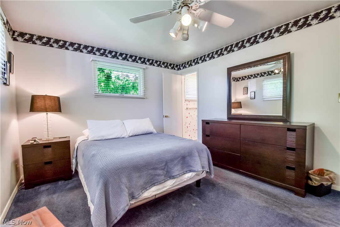956 Mill Street Conneaut OH 44030
