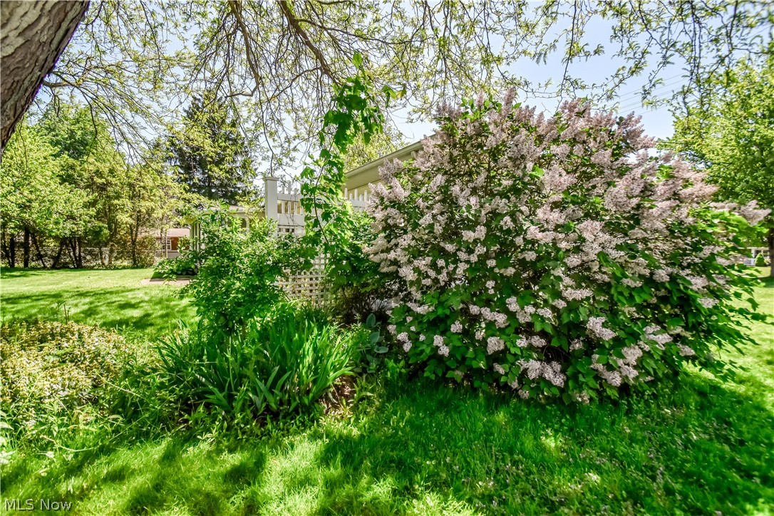 956 Mill Street Conneaut OH 44030