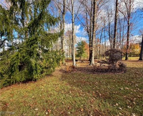 34 Chadbourne Drive Hudson OH 44236