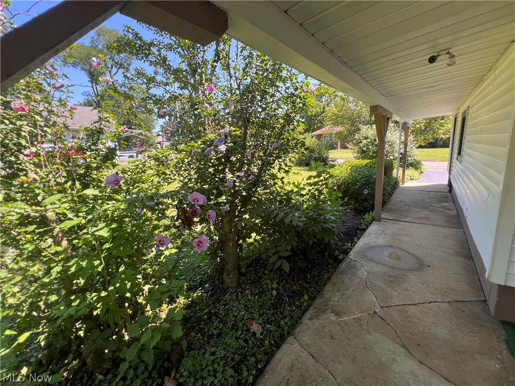 234 Plymouth Avenue Girard OH 44420
