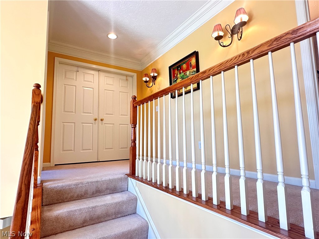 6062 White Tail Lane Lorain OH 44053