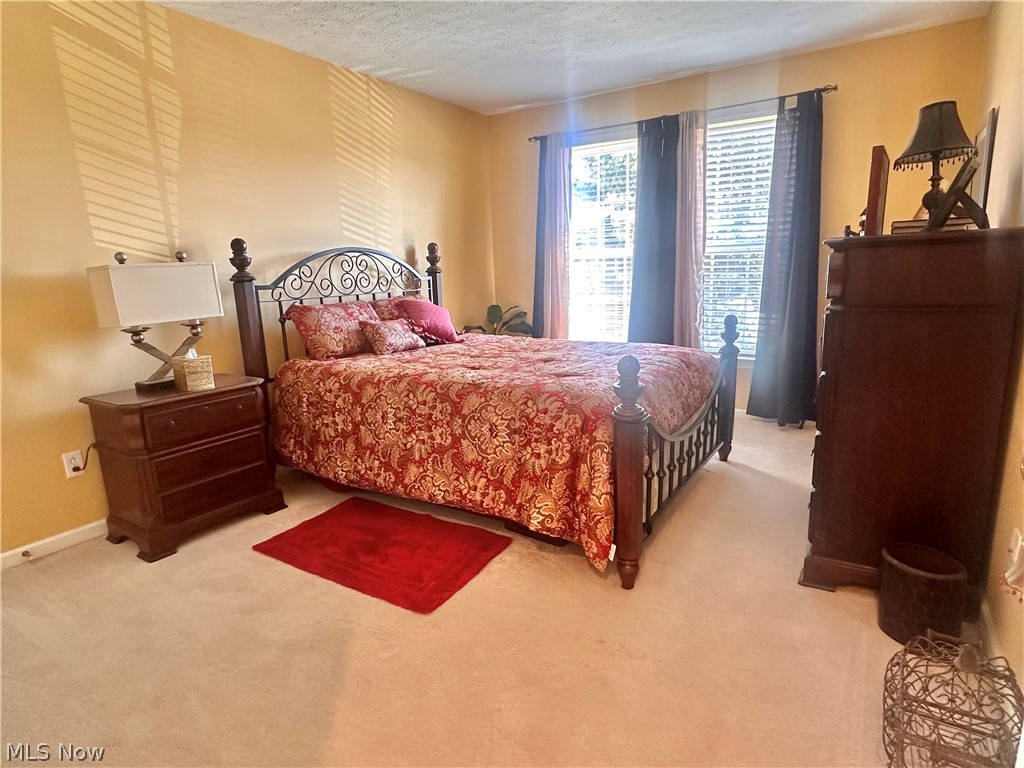 6062 White Tail Lane Lorain OH 44053
