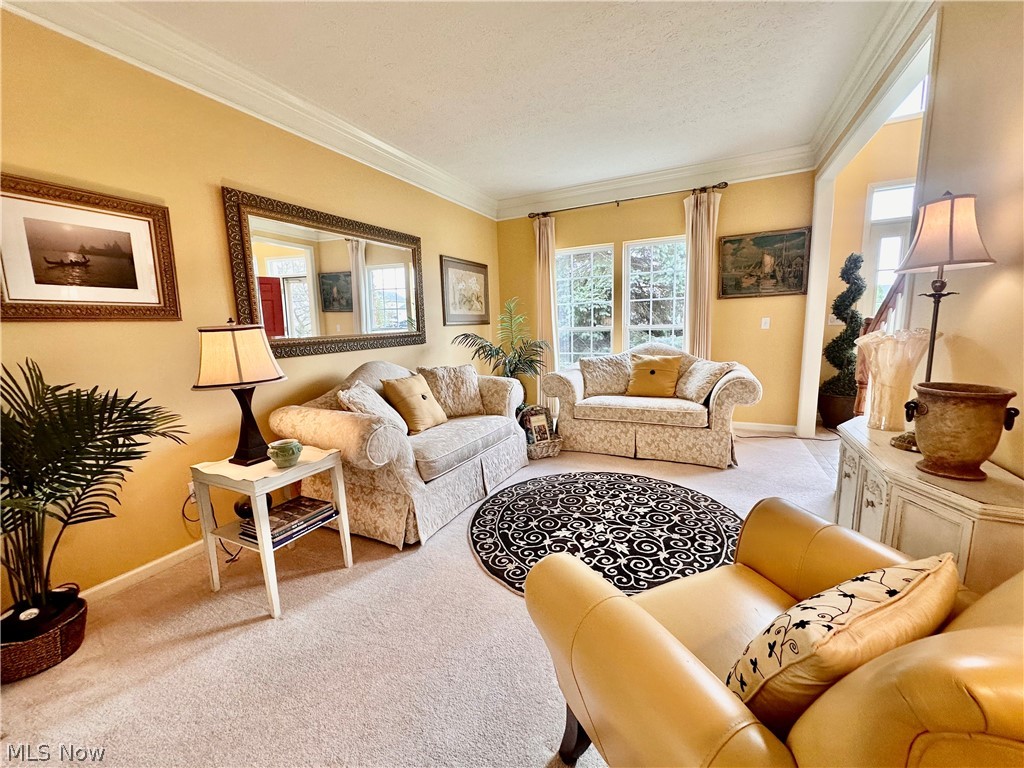 6062 White Tail Lane Lorain OH 44053