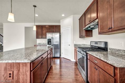 20813 North Greystone Drive Strongsville OH 44149