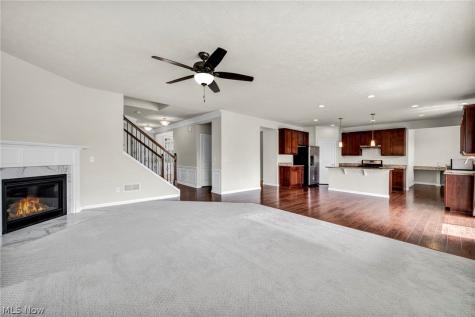 20813 North Greystone Drive Strongsville OH 44149