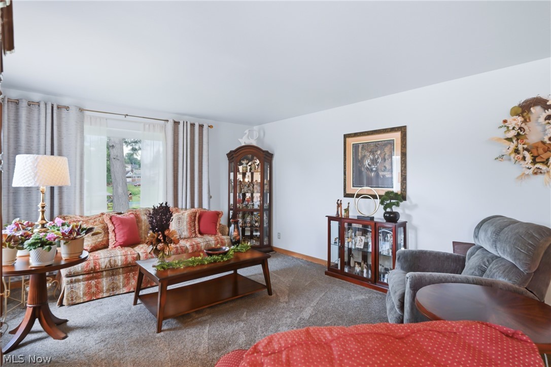 172 Meadow Road Wintersville OH 43953