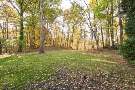 3866 Woodthrush Road Akron OH 44333
