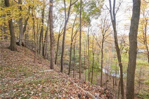 3866 Woodthrush Road Akron OH 44333