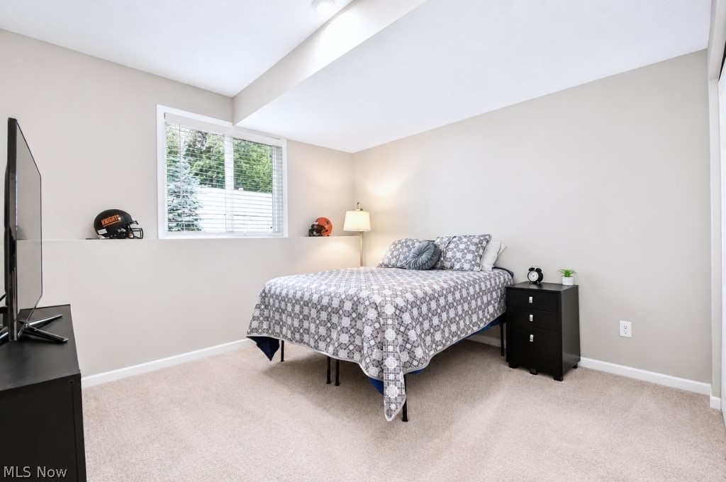 8208 Mustang Lane Mentor OH 44060