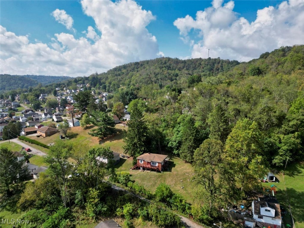 3927 Daisyview Street Shadyside OH 43947