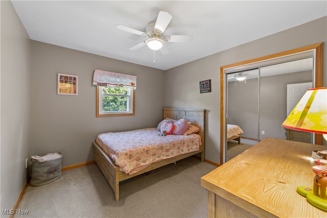 3694 Nichols Road Medina OH 44256