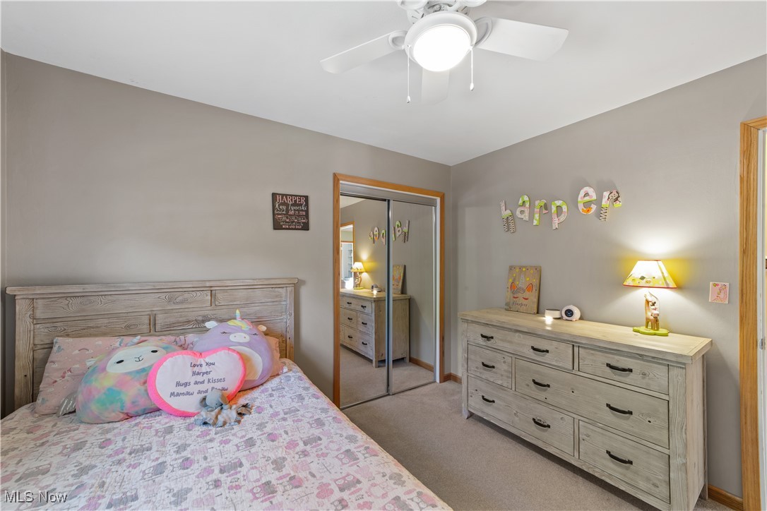 3694 Nichols Road Medina OH 44256