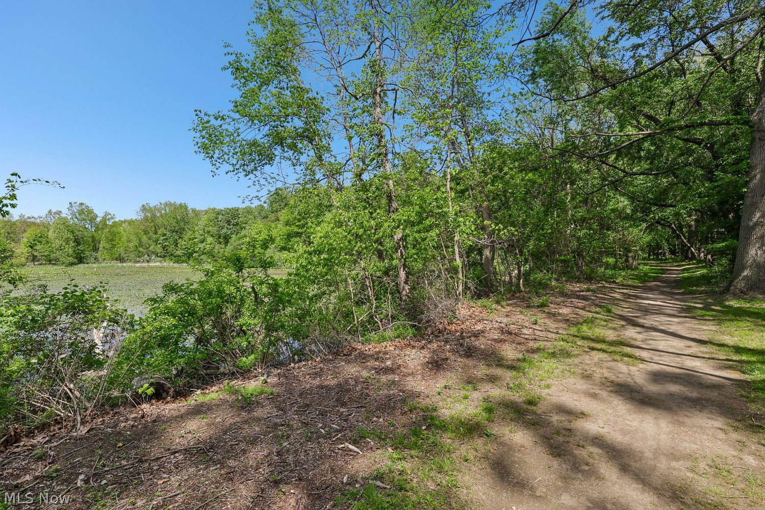 8203 Plains Road Mentor OH 44060