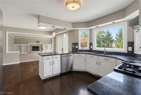 789 Silverberry Lane Hudson OH 44236