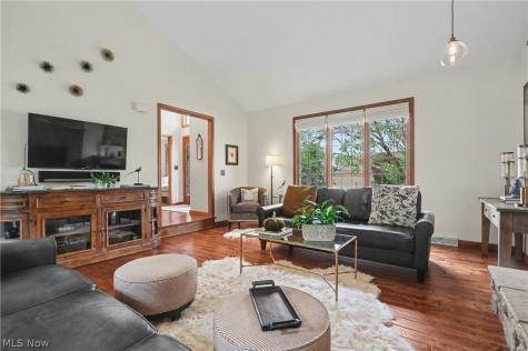 10143 Bissell Drive Twinsburg OH 44087