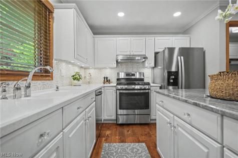 10143 Bissell Drive Twinsburg OH 44087