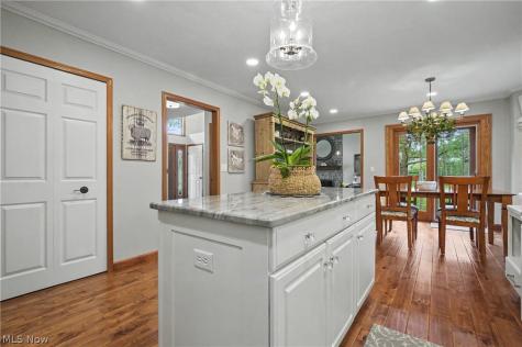 10143 Bissell Drive Twinsburg OH 44087