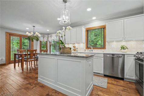 10143 Bissell Drive Twinsburg OH 44087