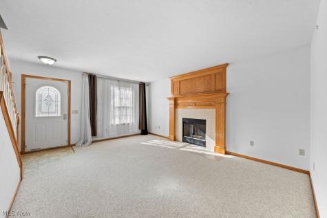 4419 Lockmoor Lane Brunswick OH 44212